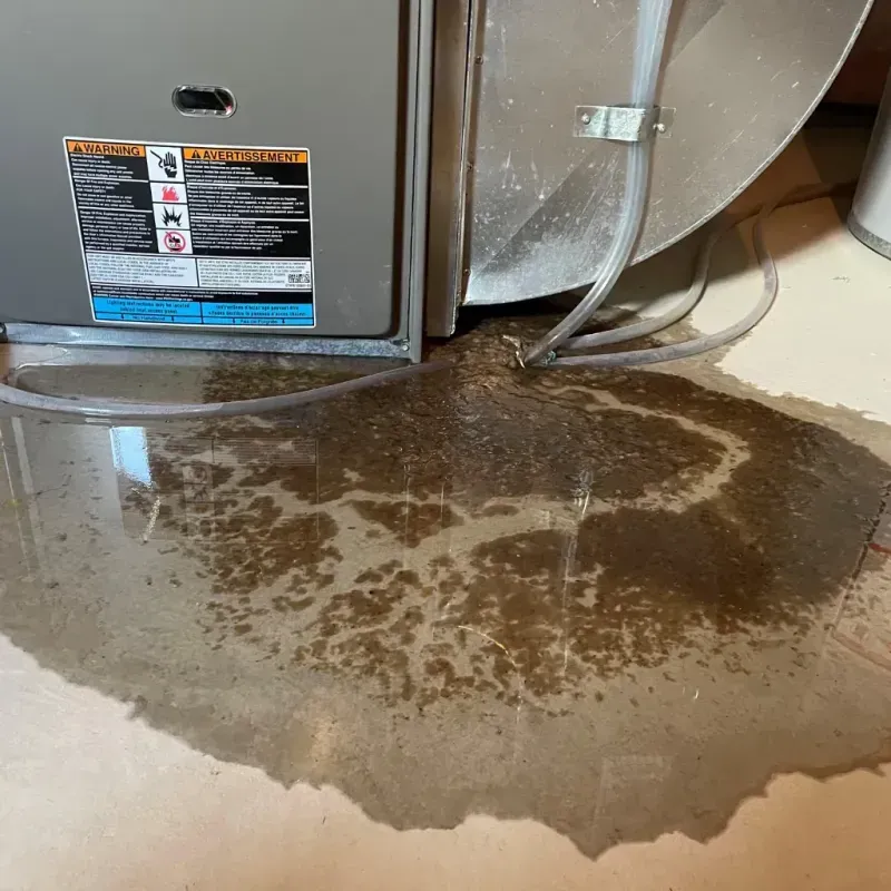 Appliance Leak Cleanup in Louisa, KY